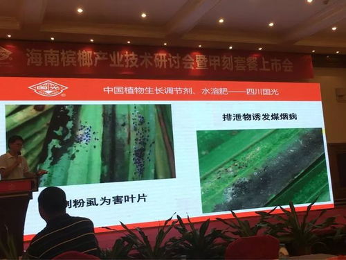 創(chuàng)新共贏 2018檳榔產業(yè)技術研討交流會暨技術推廣展望