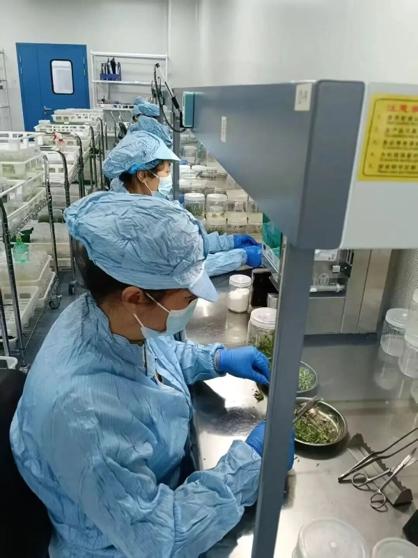 黃河三角洲農業(yè)高新技術產業(yè)示范區(qū)技術推廣的實踐與探索